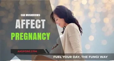 Mushrooms and Pregnancy: Safety, Risks, and What Expecting Moms Need to Know