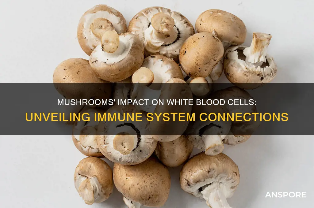 can mushrooms affect white blood cells