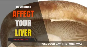 Mushrooms and Liver Health: Potential Risks and Benefits Explained