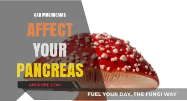 Mushrooms and Pancreatic Health: Unveiling Potential Benefits and Risks