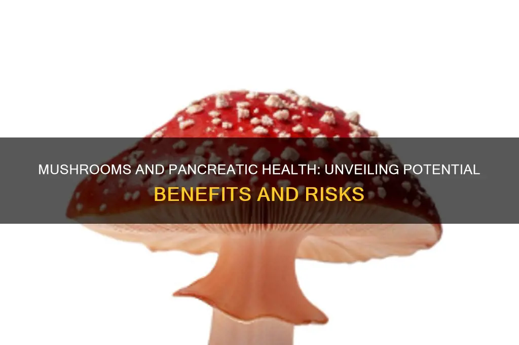 can mushrooms affect your pancreas