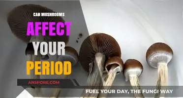 Mushrooms and Menstruation: Exploring Their Impact on Your Period