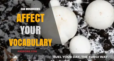 Mushrooms and Words: Unveiling the Surprising Link to Vocabulary Enhancement