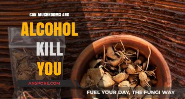 Mushrooms and Alcohol: A Deadly Mix or Harmless Combo?