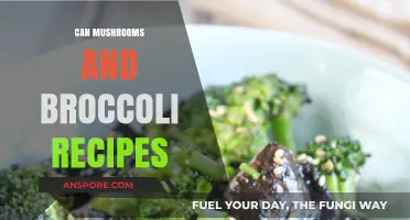 Delicious Mushroom and Broccoli Recipes for Healthy, Flavorful Meals