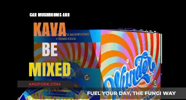 Mixing Mushrooms and Kava: Safe, Risky, or Beneficial Combination?