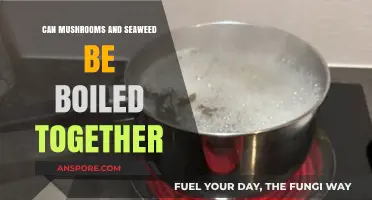 Boiling Mushrooms and Seaweed: A Culinary Fusion Worth Exploring