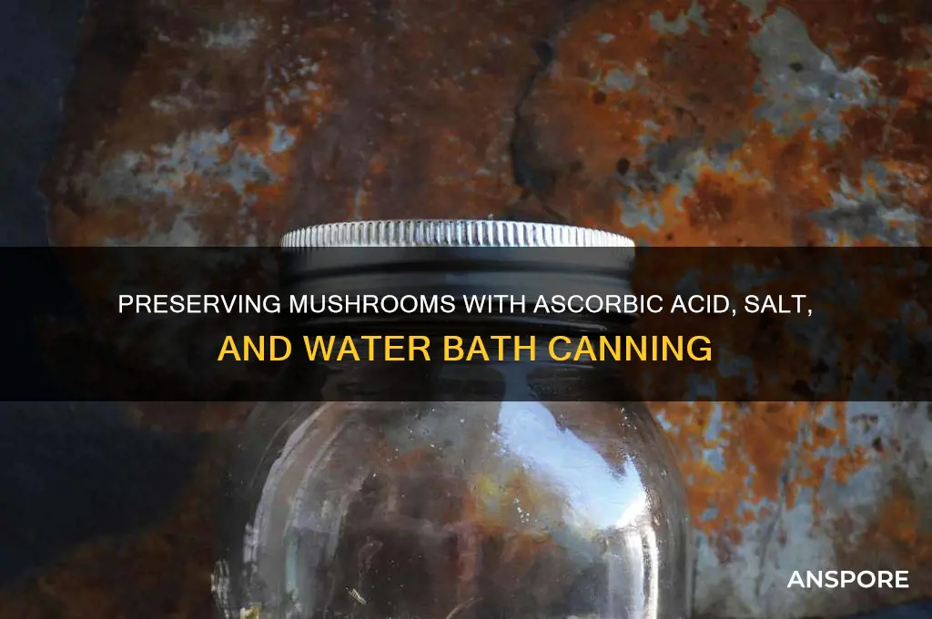 can mushrooms ascorbic acid water salt with water bath canning