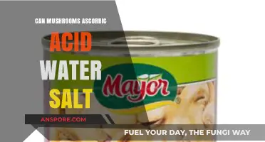 Mushrooms, Ascorbic Acid, Water, and Salt: Unlocking Culinary Secrets