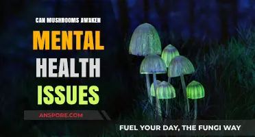 Mushrooms and Mental Health: Unveiling Potential Risks and Concerns
