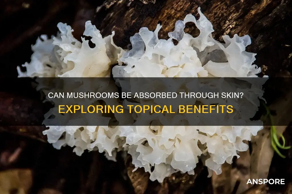 can mushrooms be absorbed through the skin