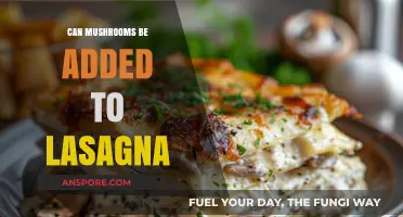 Mushrooms in Lasagna: A Delicious Twist to Classic Italian Comfort Food