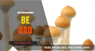 Are Mushrooms Harmful? Uncovering Potential Risks and Side Effects