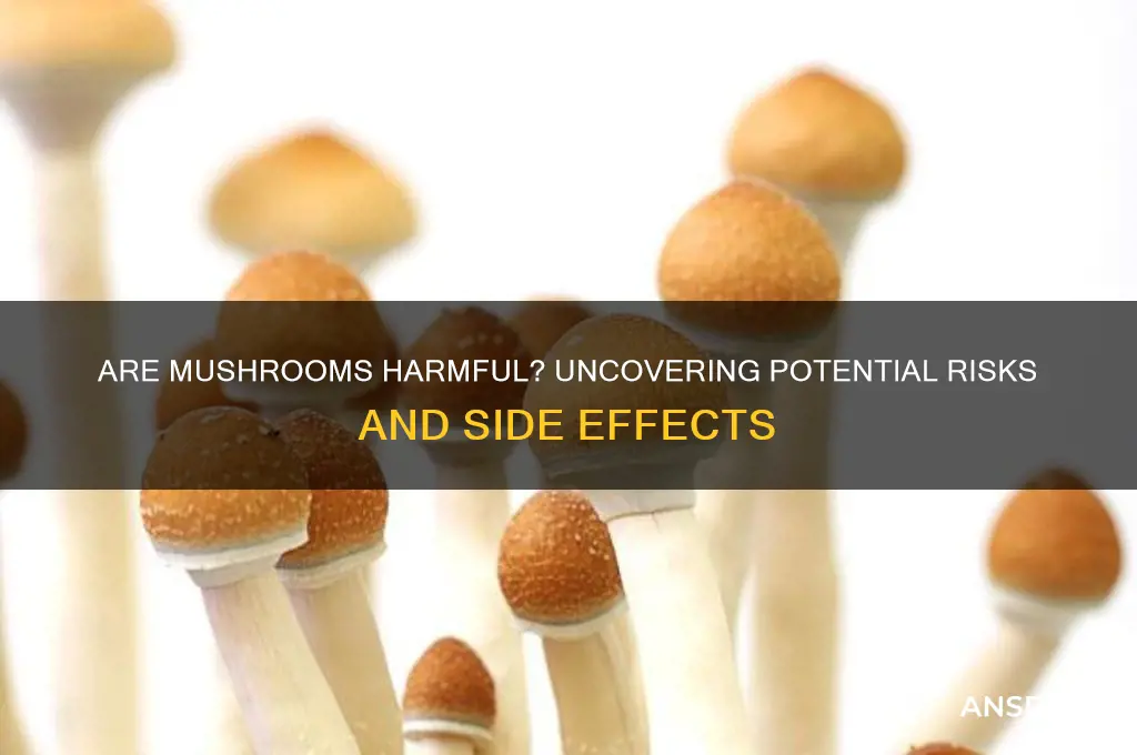 can mushrooms be bad