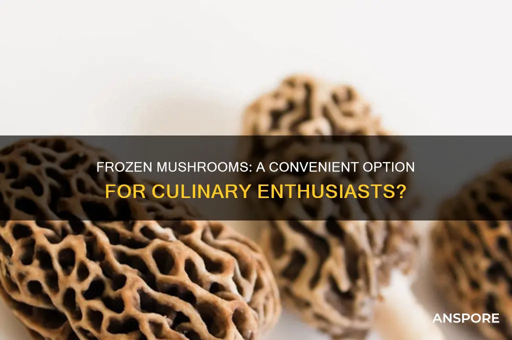 can mushrooms be bought frozen