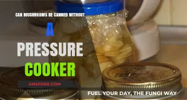 Canning Mushrooms Without a Pressure Cooker: Safe and Simple Methods