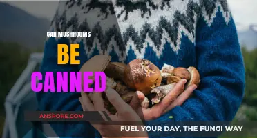 Canning Mushrooms: A Complete Guide to Preserving Fresh Fungi Safely