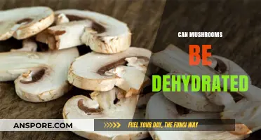 Dehydrating Mushrooms: A Simple Guide to Preserving Their Flavor