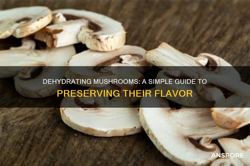 can mushrooms be dehydrated