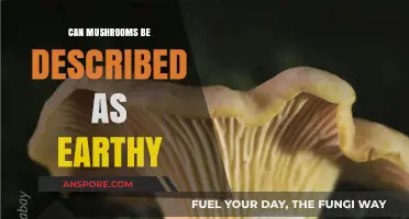 Exploring the Earthy Essence of Mushrooms: A Flavorful Journey