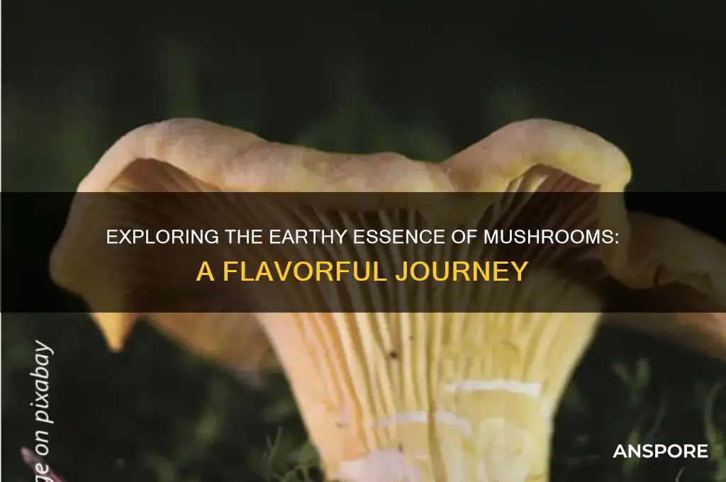 can mushrooms be described as earthy