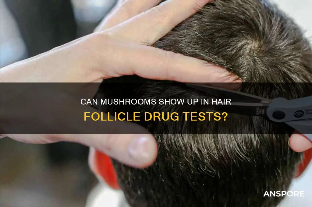 can mushrooms be detected in a hair drug test