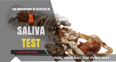 Can Saliva Tests Detect Mushrooms? Exploring Psilocybin Detection Methods