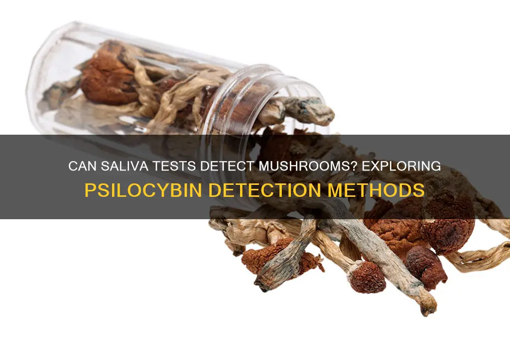 can mushrooms be detected in a saliva test
