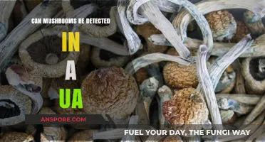 Can Mushrooms Be Detected in a Urine Analysis?