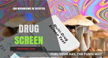 Mushrooms and Drug Tests: Detectable or Under the Radar?