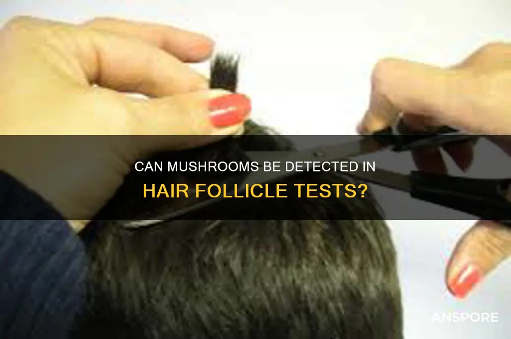 can mushrooms be detected in hair follicle