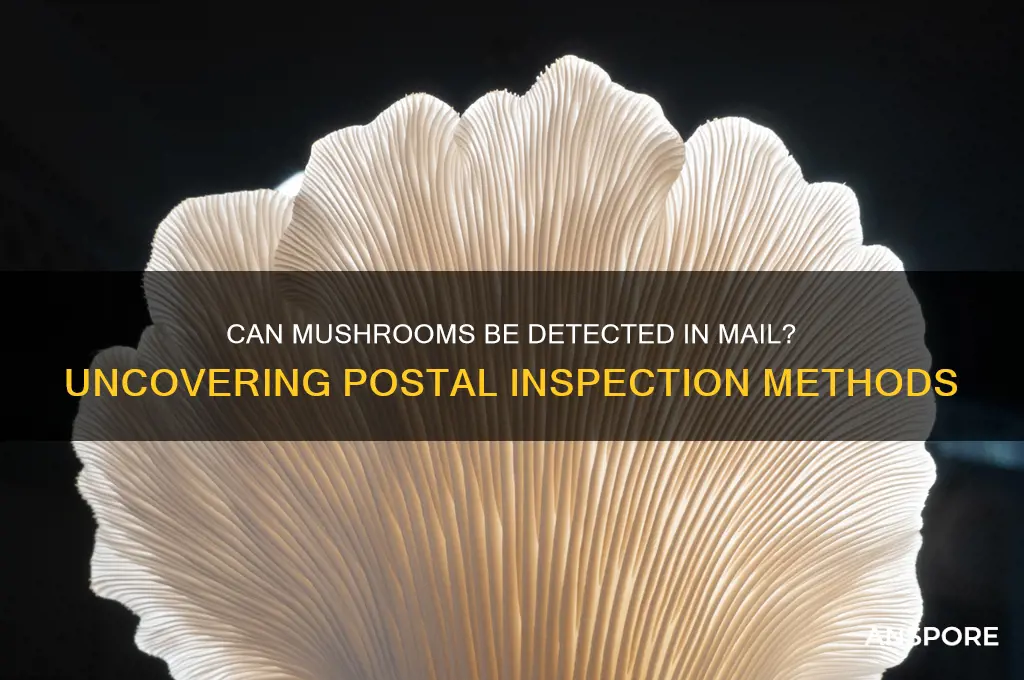 can mushrooms be detected in mail
