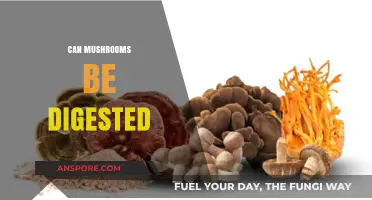 Can Mushrooms Be Digested? Unraveling the Fungal Digestibility Mystery