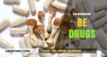 Exploring the Psychedelic Potential: Are Mushrooms Nature's Hidden Drugs?