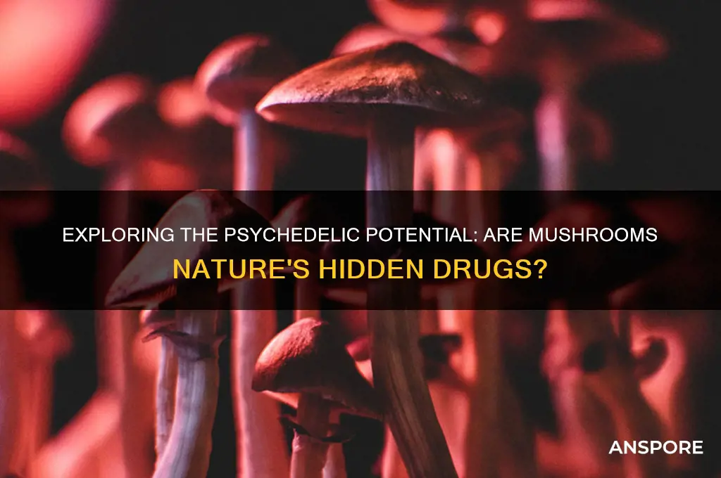 can mushrooms be drugs