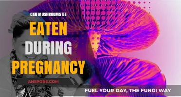 Mushrooms and Pregnancy: Safe or Risky? Expert Advice for Moms-to-Be