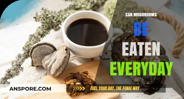 Daily Mushroom Consumption: Benefits, Risks, and Nutritional Insights