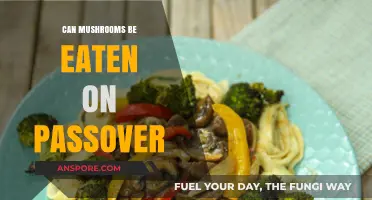 Are Mushrooms Kosher for Passover? Exploring Seder Meal Traditions