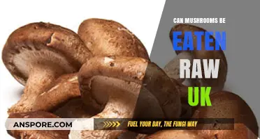 Can You Eat Mushrooms Raw in the UK? Safety Guide
