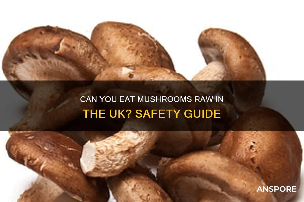 can mushrooms be eaten raw uk
