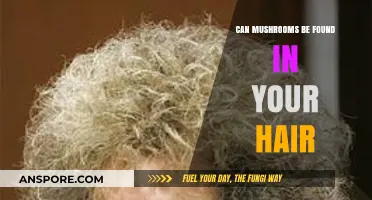 Mushrooms in Hair: Myth or Reality? Exploring Fungal Growth