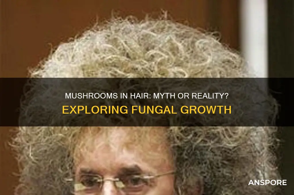 can mushrooms be found in your hair