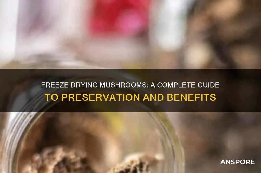 can mushrooms be freeze dried
