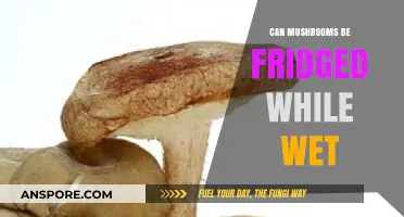 Storing Wet Mushrooms: Can They Safely Go in the Fridge?