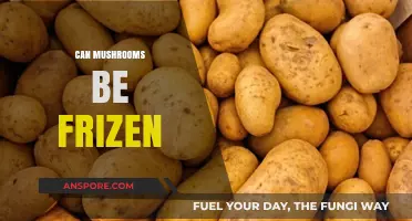 Freezing Mushrooms: A Complete Guide to Preserving Freshness and Flavor