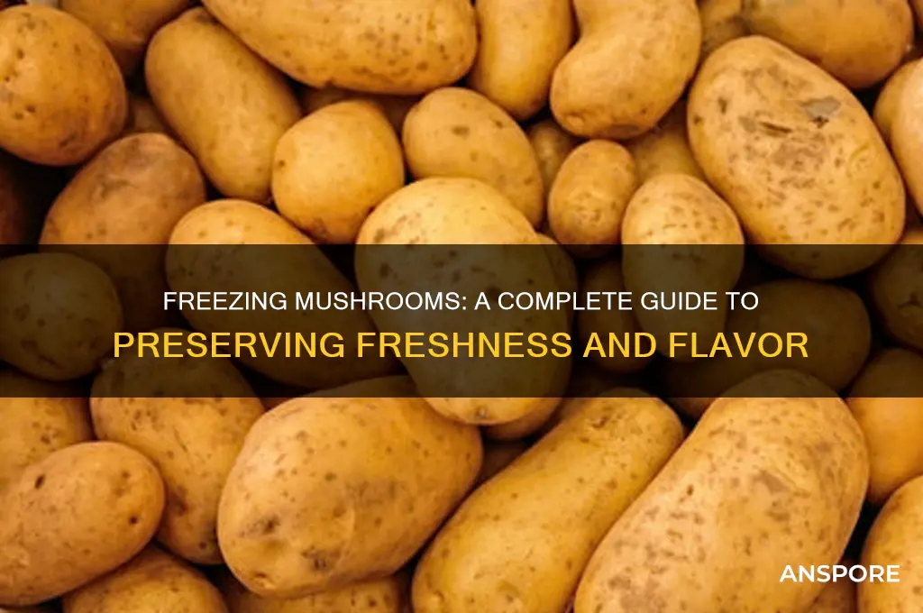 can mushrooms be frizen