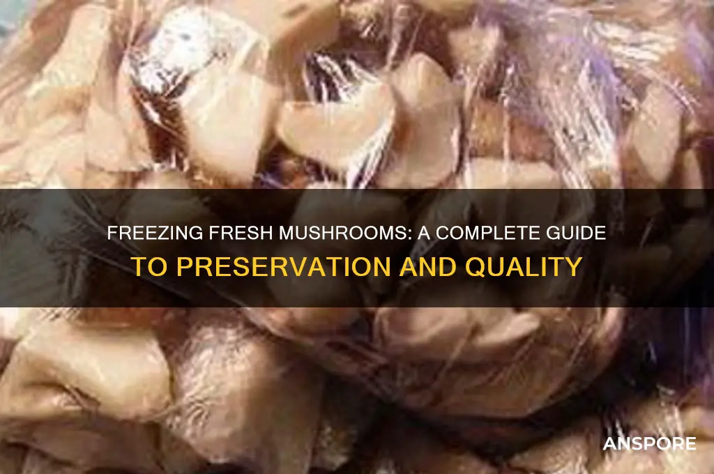 can mushrooms be frozen fresh