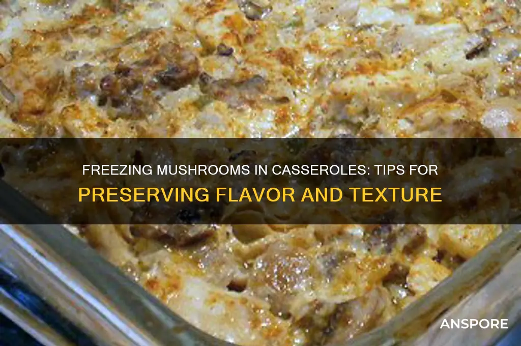 can mushrooms be frozen in a casserole