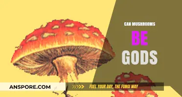 Mushrooms as Divine Entities: Exploring the Sacred Fungal Connection