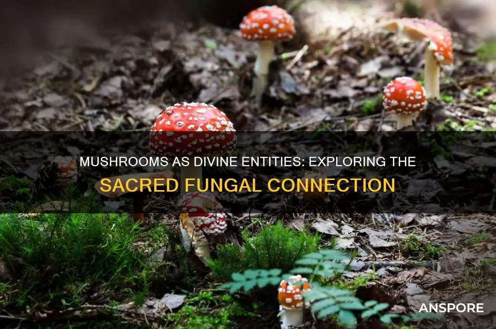 can mushrooms be gods